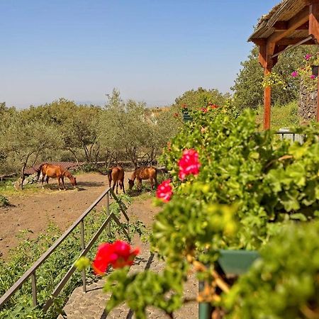 דירות Ragalna Horse House מראה חיצוני תמונה